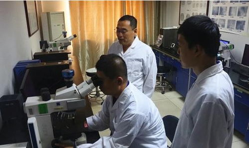 西王集團(tuán)以科技創(chuàng)新驅(qū)動(dòng)發(fā)展，五項(xiàng)核心科技成果通過(guò)專家鑒定，助力防腐材料銷售新突破