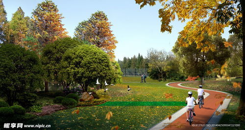 公園低碳騎行海報設計圖 psd分層素材 psd分層素材