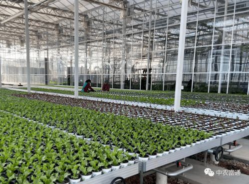 全力打造精品工程 2021年重點建設(shè)項目盤點