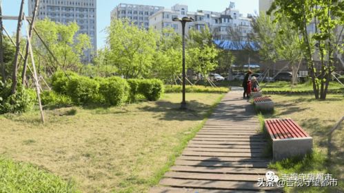 一起打卡呀 31處 口袋公園 預計5月末完工