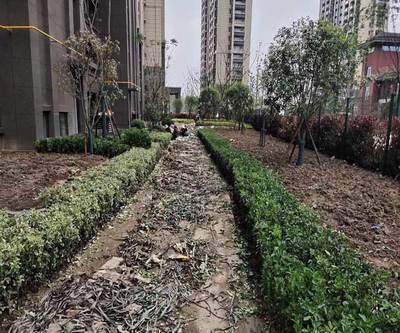 亳州綠化養護工程