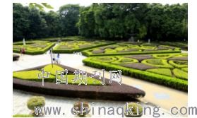 淺談園林綠化工程的項目管理優(yōu)化