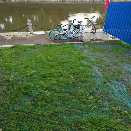 天津椰絲毯生產(chǎn)廠家 價(jià)格實(shí)惠屬我家