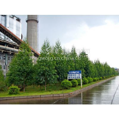 景觀設(shè)計_園林綠化_綠化養(yǎng)護(hù)_苗樹銷售&ndash;【上海宗沃景觀工程】