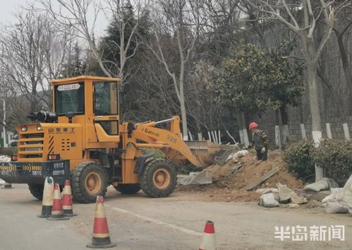 青島市區園林綠化工程有序復工，施工人員忙碌建設美麗家園
