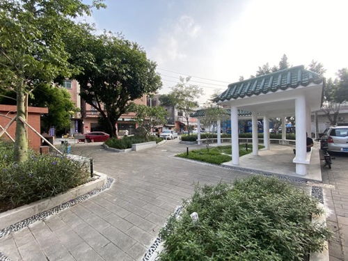 厚街鎮(zhèn)積極推進(jìn)園林綠化品質(zhì)提升工程，5個(gè)口袋公園建成落地