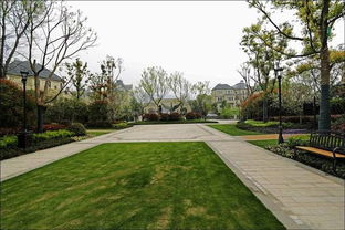 園林綠化工程施工圖解——一建市政專(zhuān)業(yè)指南