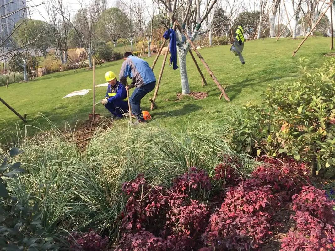 邊坡綠化工程 專(zhuān)業(yè)施工，筑造綠色家園的生態(tài)屏障